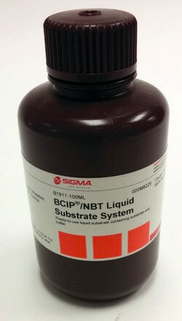 B1911- 100ML - BCIP NBT Liquid Substrate marca SIGMA Fr de 100 ml (PROMOCAO)