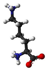 [657-27-2]	Monohidrocloreto De L-Lisina
