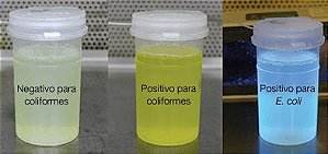 Frasco De Polipropileno Transparente Com Tampa  Flip Top, Fecho Duplo, Estéril, Descartável Capitol Para 100 Ml De Amostra Com Pastilha De Tiossulfato De Sodio Pk 100