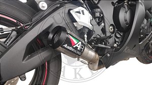 Escape Ponteira Austin Racing Kawasaki Ninja ZX10R 1000 2016|2021