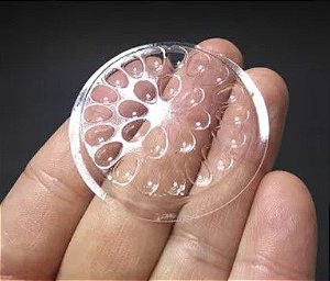 Flor de silicone de plástico Kit com 10un