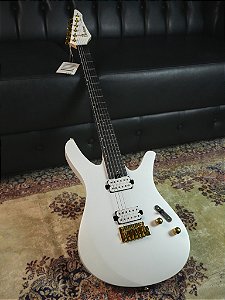 Guitarra Divitone Dsg-10 Arctic Ore w/bag