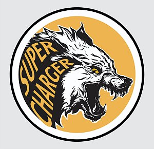 CAMISETA S.C FIRE DOG