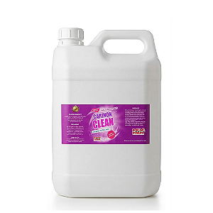 Limpador para quadro branco 5 Litros Carinon Clean