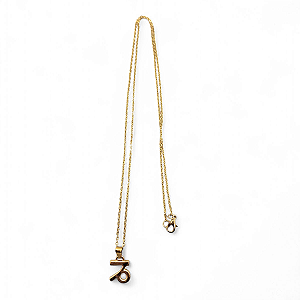 Colar Capricórnio Signo do Zodíaco Pingente Dourado 30 cm