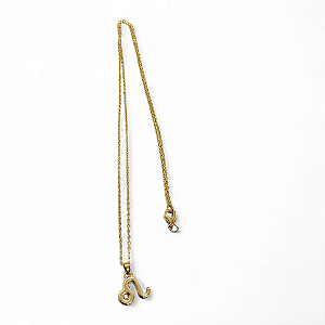 Colar Leão Signo do Zodíaco Pingente Dourado 30 cm