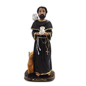 Estátueta São Francisco Escultura Católica Resina 20 Cm