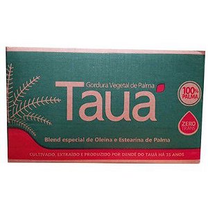 Gordura Sorvete Vegetal Palma TF90 TAUÁ (24kg)