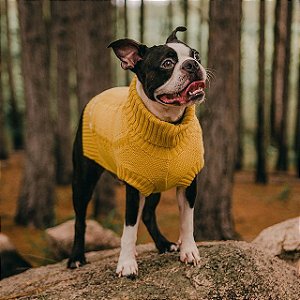 Tricot Gola Rolê para Cachorros e Gatos Açafrão