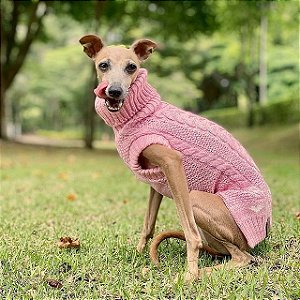 Blusa para Cachorros e Gatos Gatinho Laranja