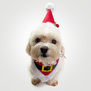 Fantasia de Natal para Cachorros e Gatos Gorro de Papai Noel com Bandana