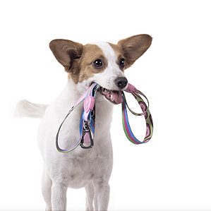 Guia para Cachorros Meninas Superpoderosas