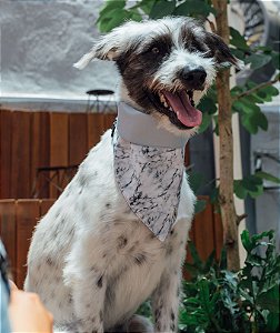 Bandana para Cachorros e Gatos Dupla Face Marble Grey