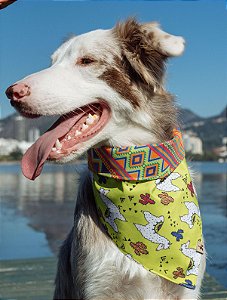 Bandana para Cachorros e Gatos Dupla Face Lhamastê