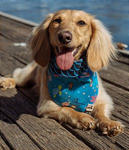 Bandana para Cachorros e Gatos Dupla Face Deep Sea