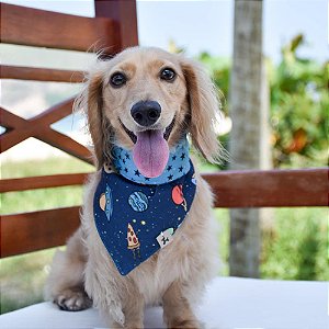 Bandana para Cachorros e Gatos Dupla Face Space Food