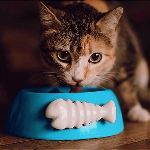 Comedouro para Gatos Cerâmica Espinha de Peixe Azul