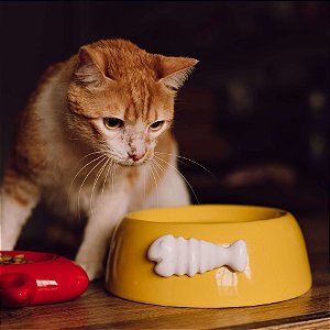 Comedouro para Gatos Cerâmica Espinha de Peixe Amarela