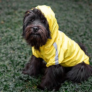 Capa de Chuva para Cachorros Amarela