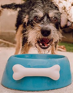 Comedouro para Cachorros Cerâmica Azul com Osso