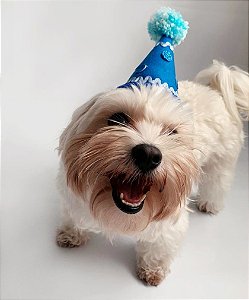 Fantasia para Cachorros e Gatos Chapéu de Aniversário Azul