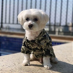 Camisa para Cachorros Camuflada