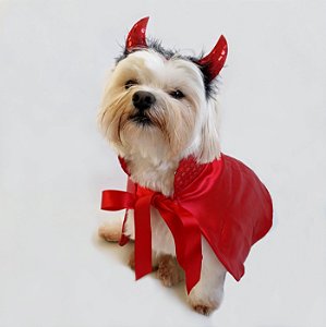 Confira opções de fantasia de Halloween para cachorro