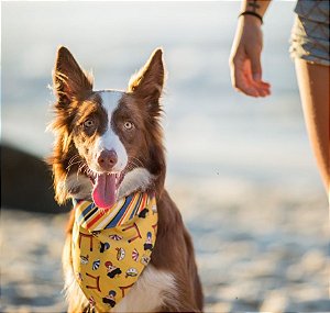 Bandana para Cachorros e Gatos Dupla Face Japonesa