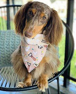 Bandana para Cachorros e Gatos Dupla Face São Francisco de Assis