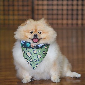 Bandana para Cachorros e Gatos Dupla Face Floresta