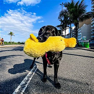 Brinquedo para Cachorro Pelúcia Big Duck Pato da Mika