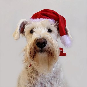 Fantasia de Natal Gorro do Papai Noel Clássico para Cachorros e Gatos