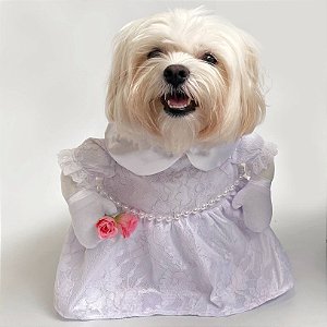 Fantasia para Cachorros Vestido de Noiva