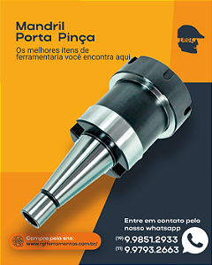 Mandril Porta Pinça