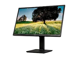 Monitor LG 23,5" IPS LED FHD - 24BL550J-B.AWZM