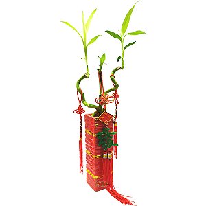 Vaso Oriental com Ideograma e Bambu da Sorte Espiral