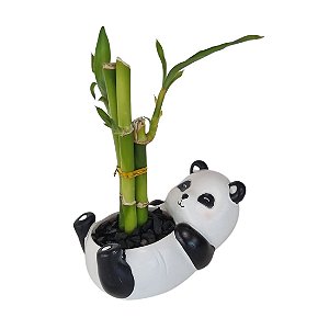 Vasinho Panda Deitado com Bambu da Sorte
