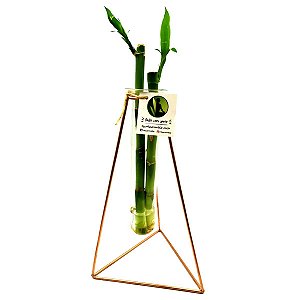 Triângulo em Metal e Vaso de Vidro com Bambu da Sorte