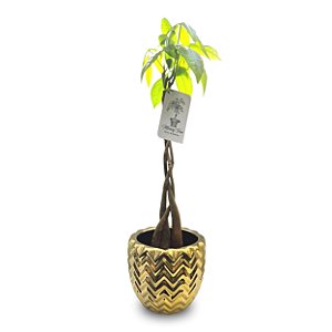 Vaso Indiano em Metal com Árvore do Dinheiro