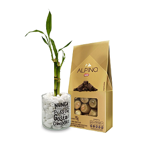 Bambu da Sorte com Vaso em Vidro + Caixa de Chocolate Alpino (195g)