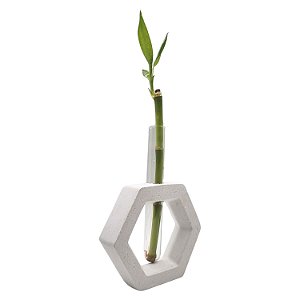 Bambu da Sorte com Suporte Hexágono e Tubo de Vidro