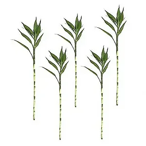 Kit com 5 Hastes de Bambu da Sorte (Extra Grande)