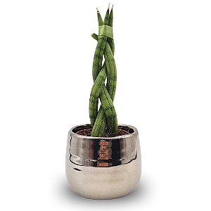 Cachepot Prateado com Lança de São Jorge Trançada (Pequena)