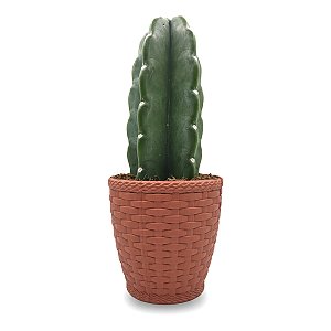 Cachepot Rattan com Cacto Mandacaru Sem Espinhos