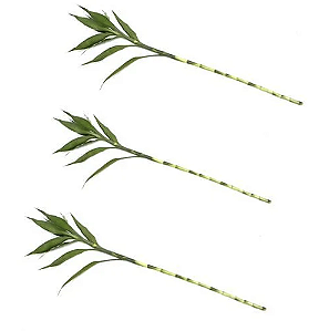 Kit com 3 Hastes de Bambu da Sorte (Médio)