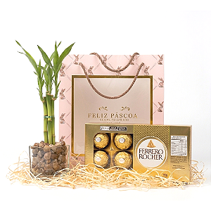 Especial de Páscoa com Bambu da Sorte e Chocolate (Edição Limitada)