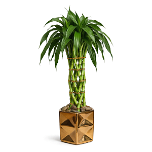 Vaso em Cerâmica com Mini Torre de Bambu da Sorte (35cm)