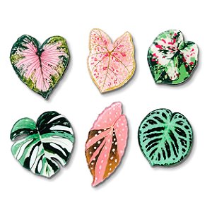 Kit Imã de Geladeira com Folhagens Tropicais (6 unidades)