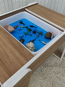 Nova Mesa Sensorial com 1 cadeira (acompanha 1 bandejas e tampo dupla face)