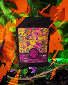 Café El Patron (Frutas Amarelas, Uvaia, Doce, Cítrico)